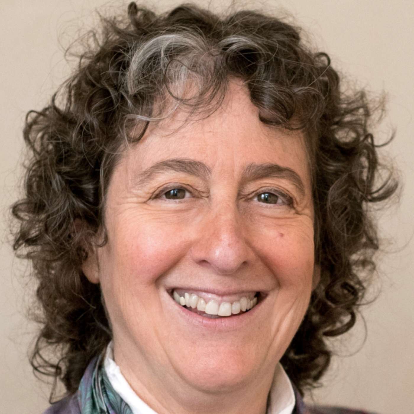 Organizing in Connecticut against the Trump agenda: Preview of upcoming 'No Kings' rallies  across CT and the US March 28th