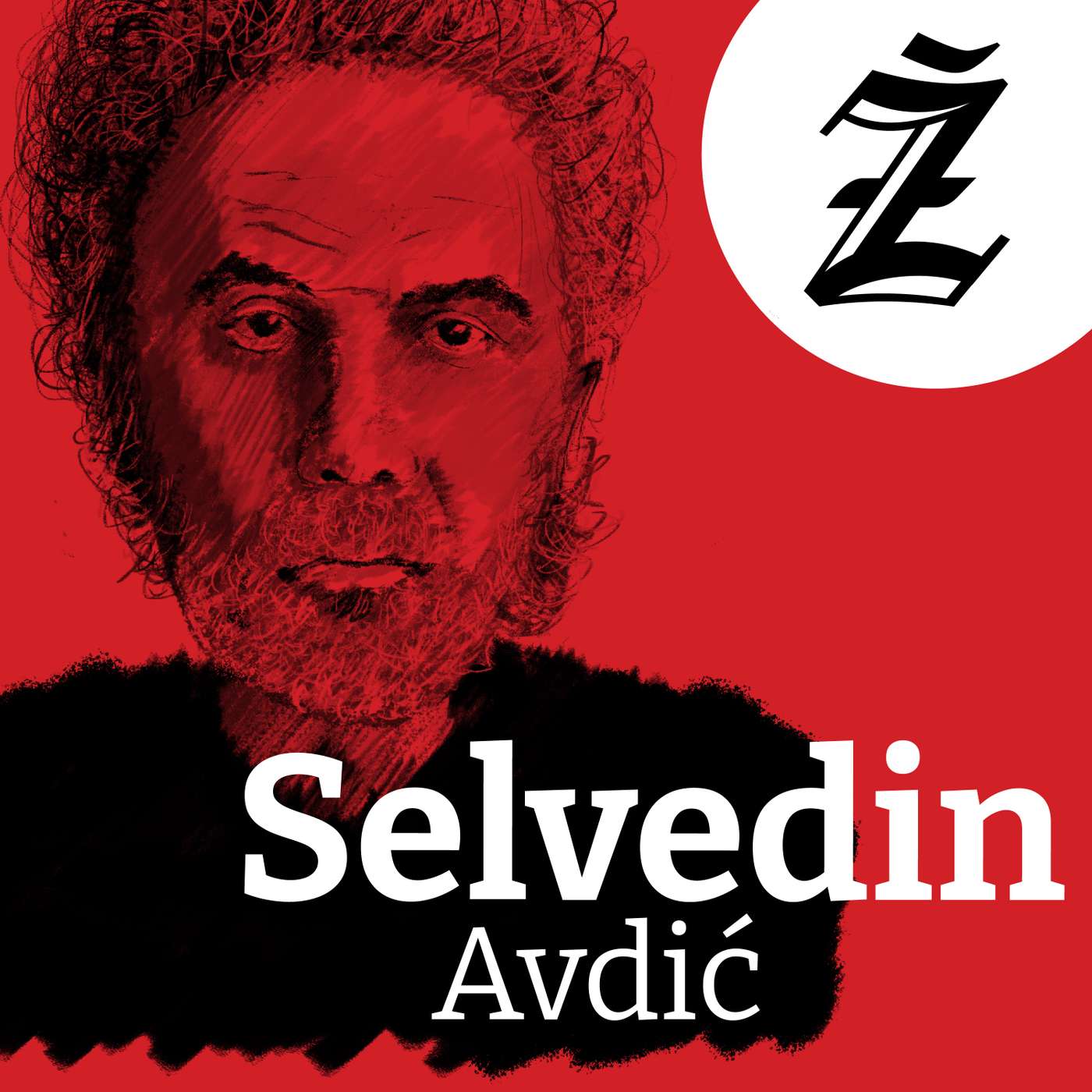 Selvedin Avdić:  Usporavanje svijeta Enesa Škrge, Audio Žurnal, epizoda 221 episode artwork