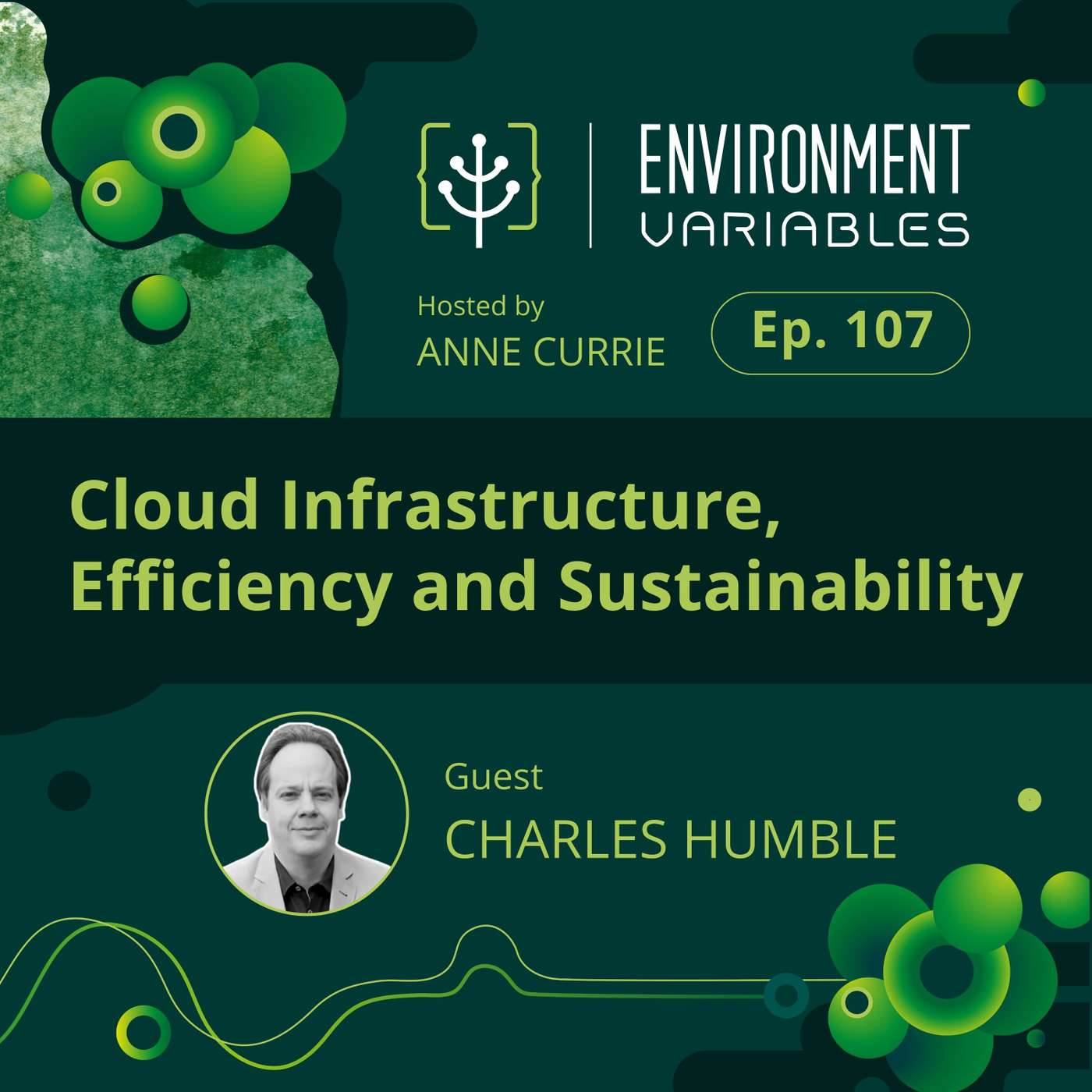 Cloud Infrastructure, Efficiency and Sustainability