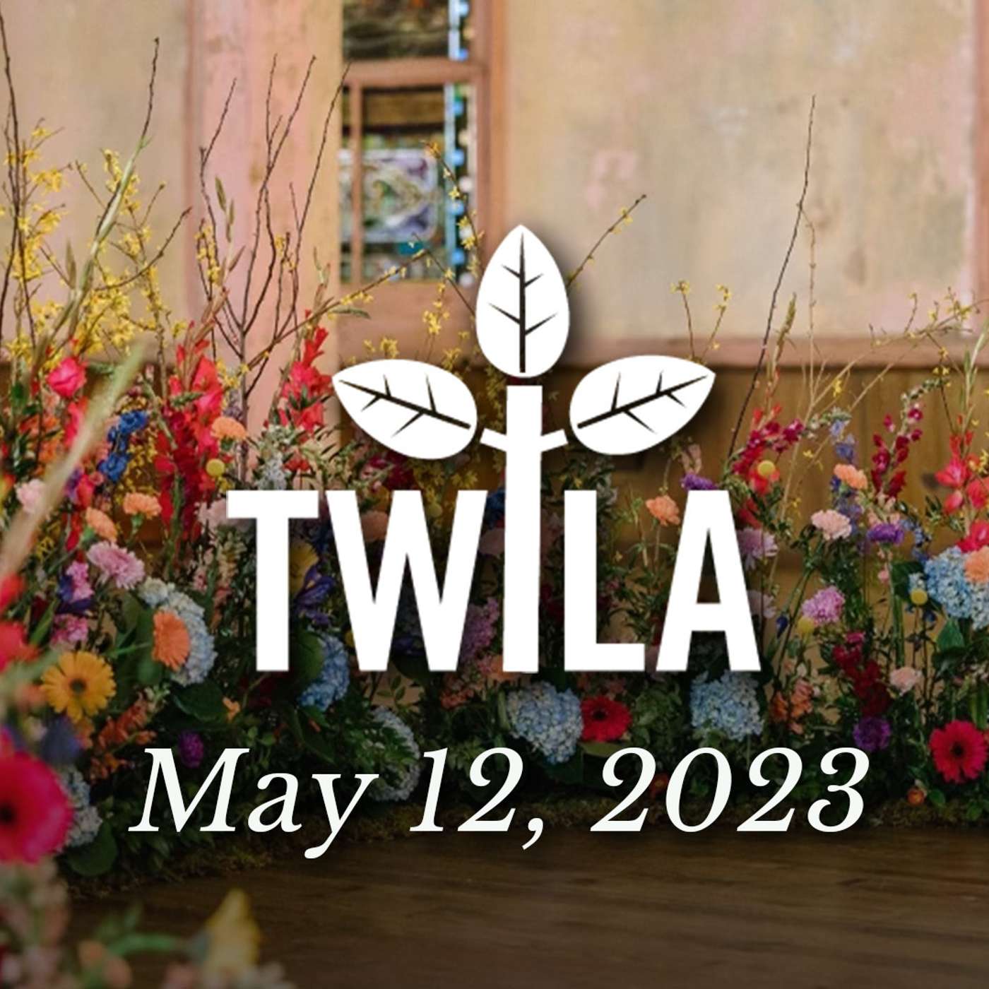 TWILA 5-12-23 episode artwork