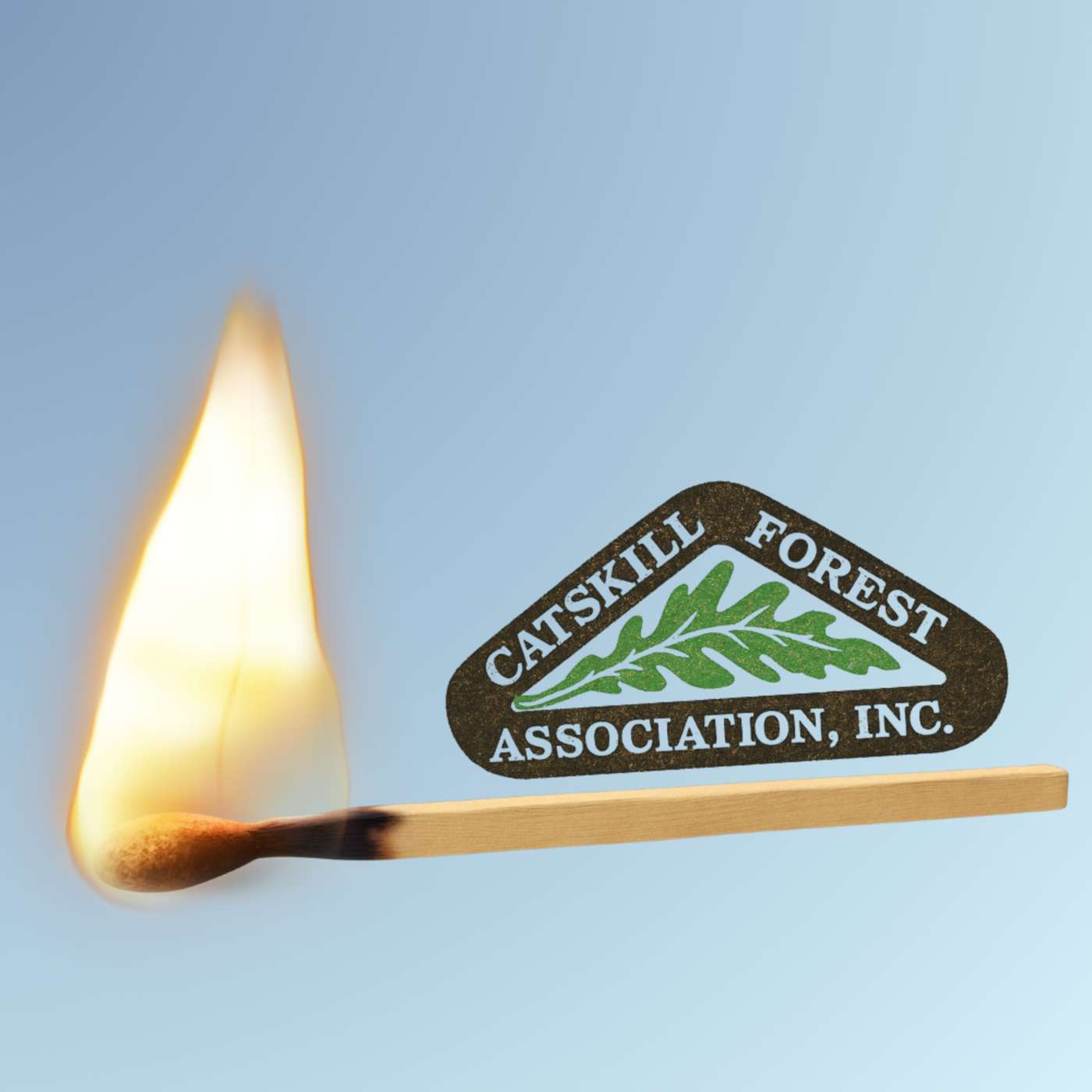 Prescribed Fire 🔥 for Forest Health and Biodiversity