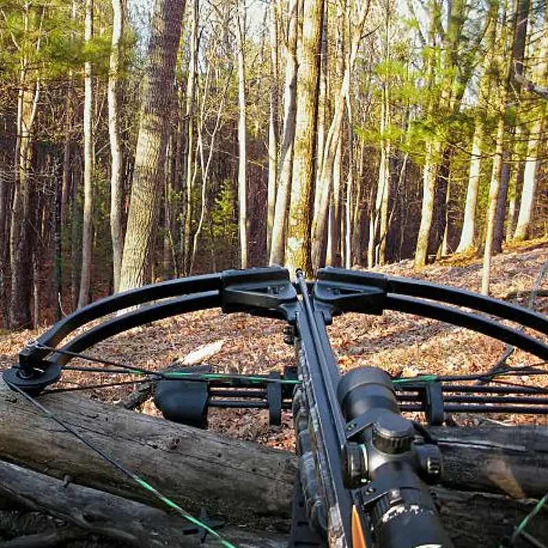 Implications For NE Minnesota Region As Crossbows Permitted In Archery Deer Season