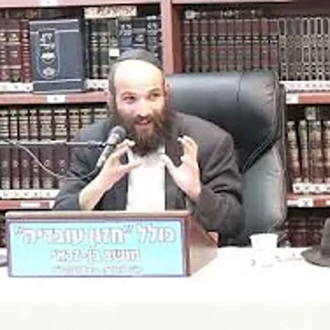 הרב חיים משה סגל :  תניא .  פרשת המתאוננים -  הכל תלוי בנקודת המבט .  שיעור 113. episode artwork