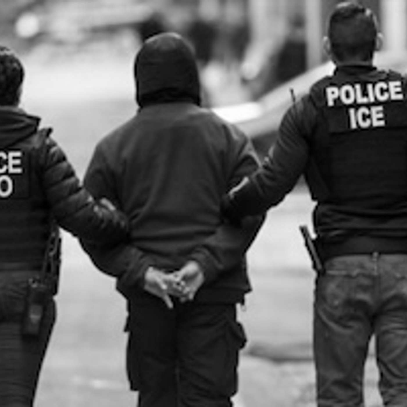 Effort Underway to Build Bridges Between Diverse Immigrant Communities Facing Trump Mass Deportation