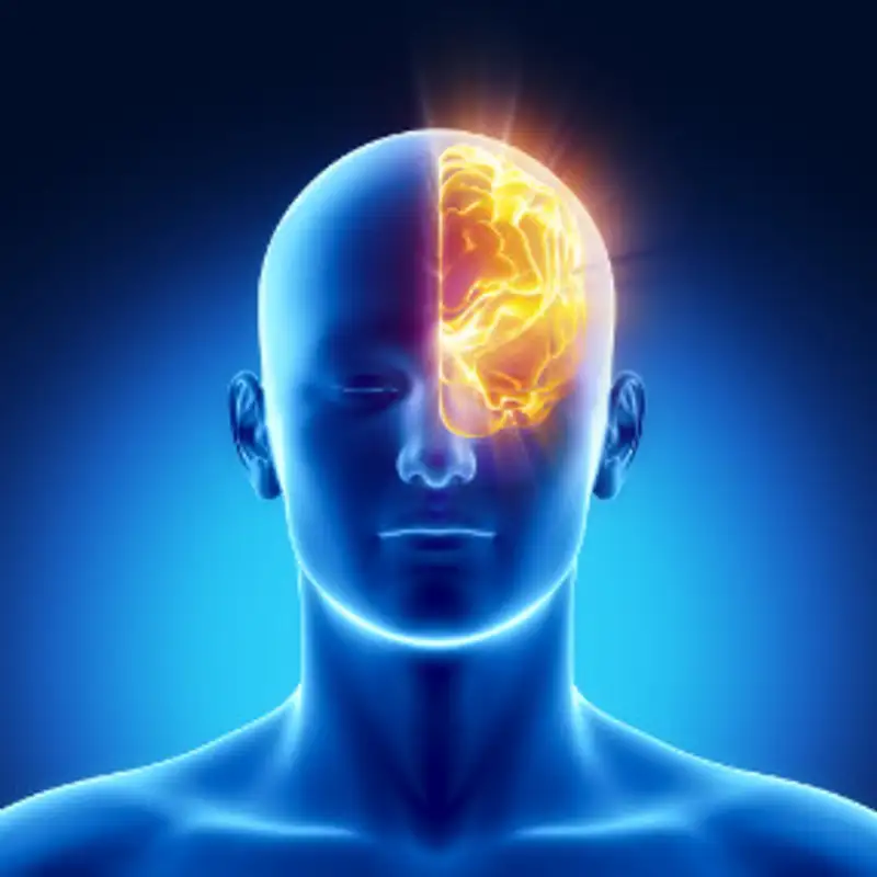 Cardinal Virtues and Physical Training