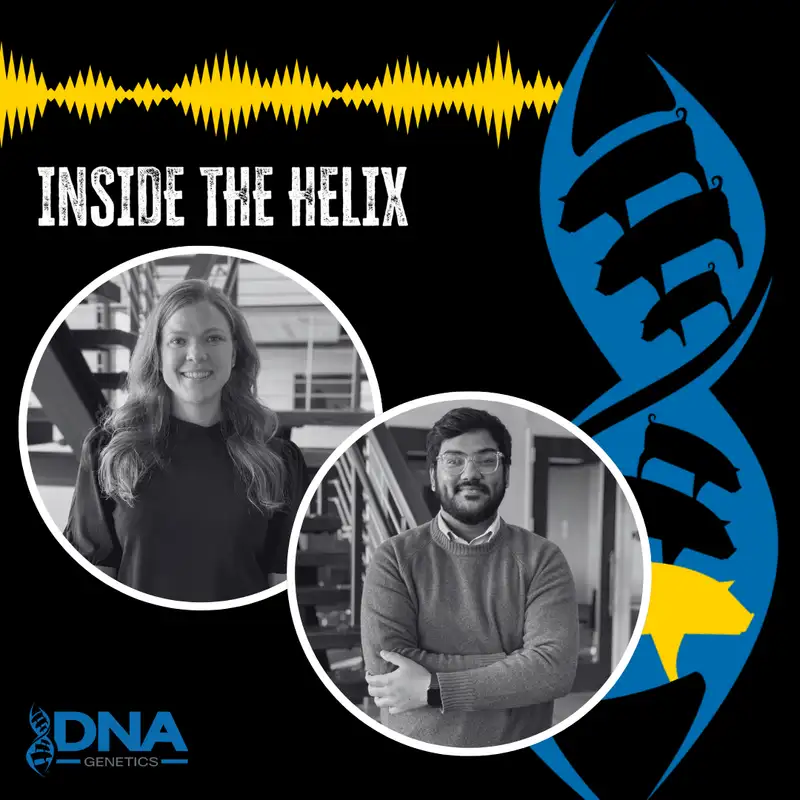 The Journey of Full Program Testing