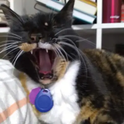 image of podcast supporter