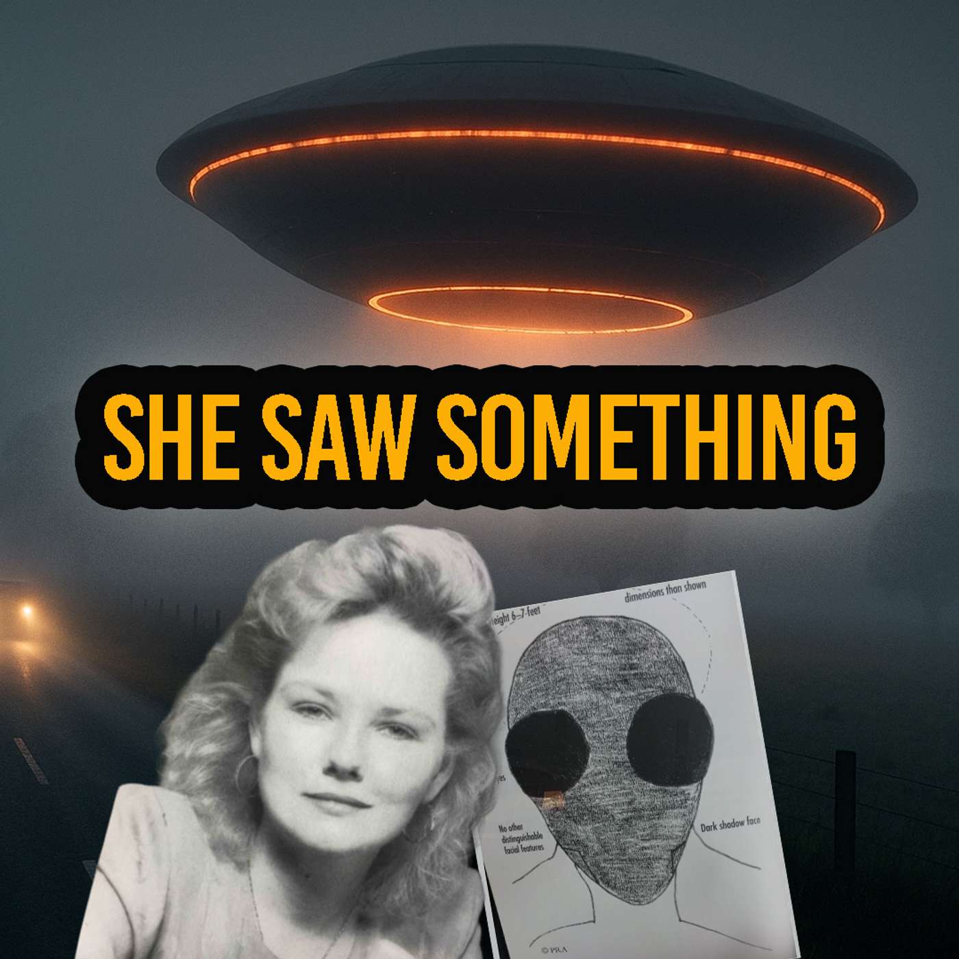 The Kelly Cahill Encounter: Australia’s Most Disturbing Multi-Witness UFO Case The Kelly Cahill Encounter: Australia’s Most Disturbing Multi-Witness UFO Case