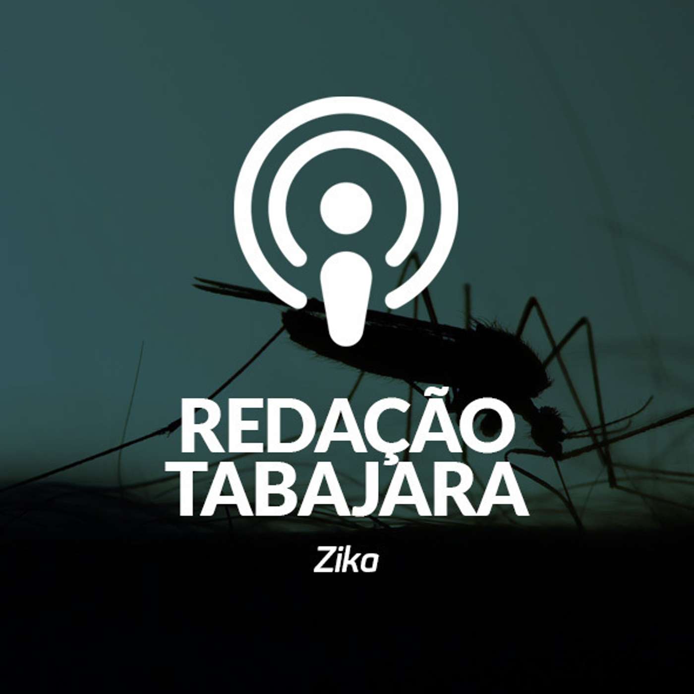 #45 - Zika episode artwork