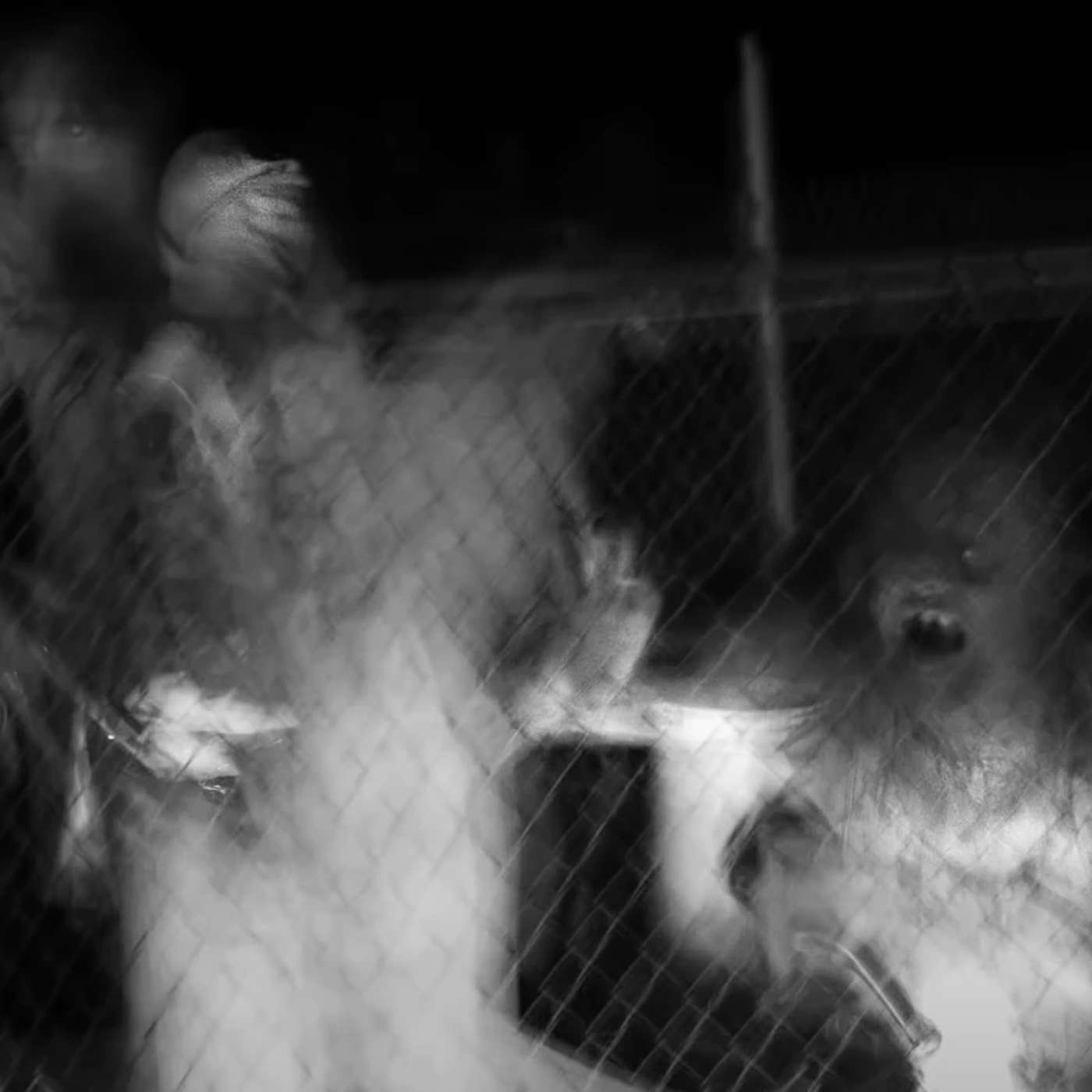 The Cost of Bearing Witness The Cost of Bearing Witness