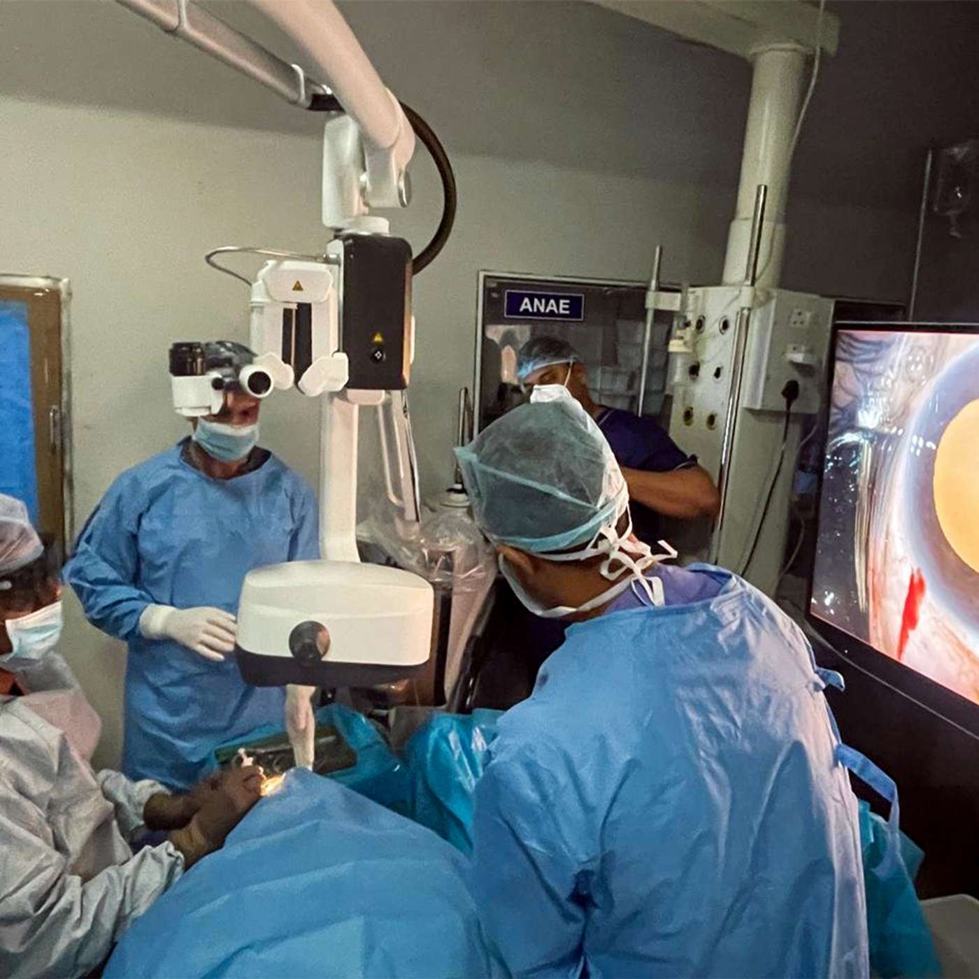 Vaccine Deaths Debunked in Youth, Quantum Sensors Unlock Immune Insights, Nanoplastics Invade Zebrafish Organs, Antarctica Doomslasher Glaciers Quake, and more...