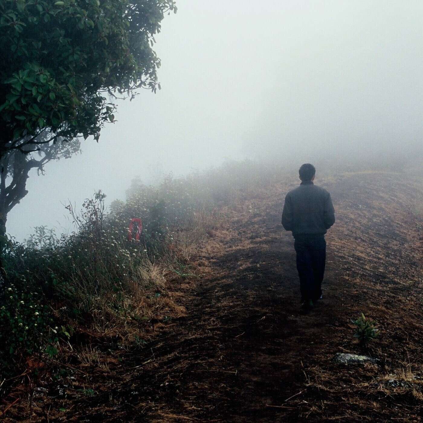 L\'Heure Exquise - Radio Grenouille & Séances Spéciales