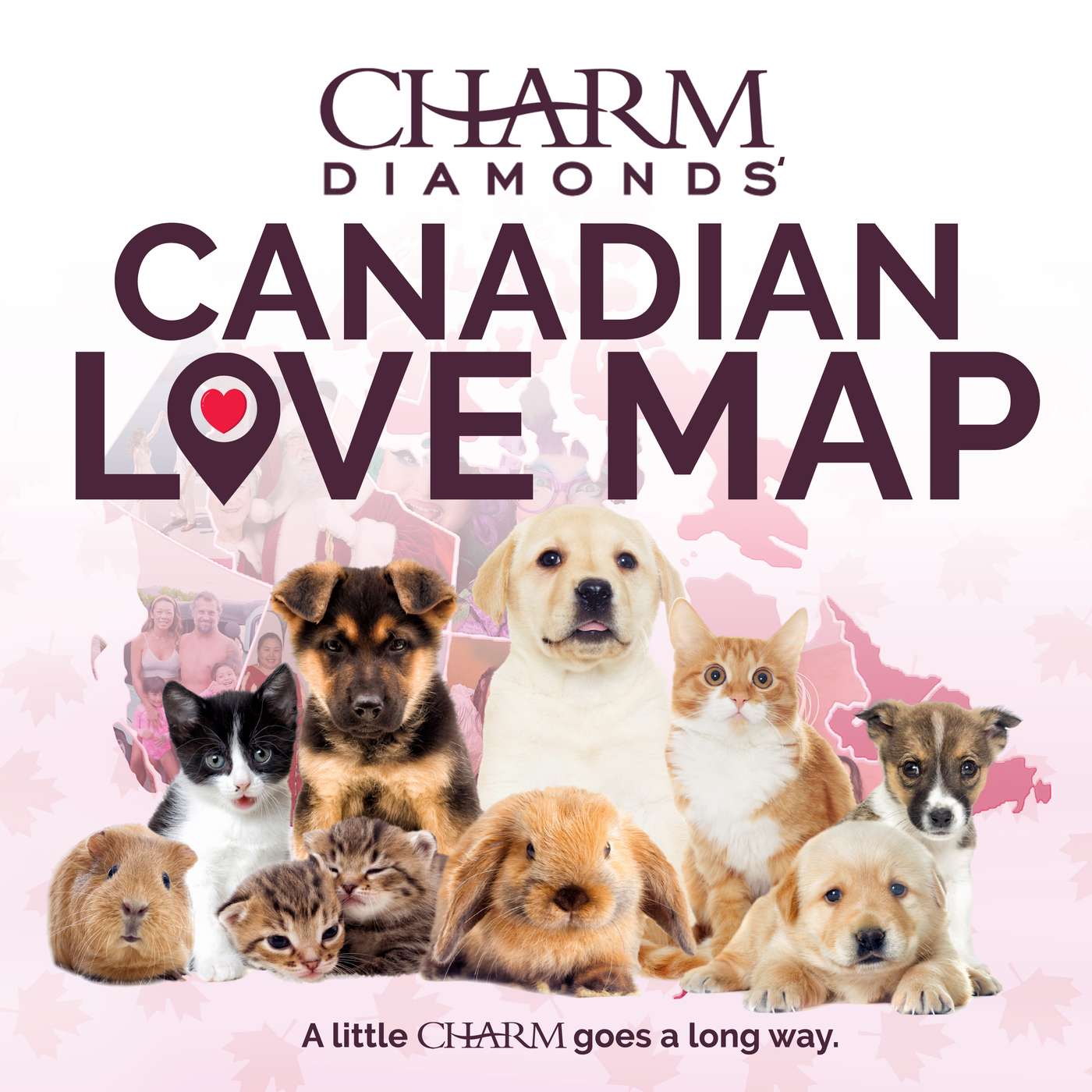 Creston: Man's Best Friend Creston: Man's Best Friend