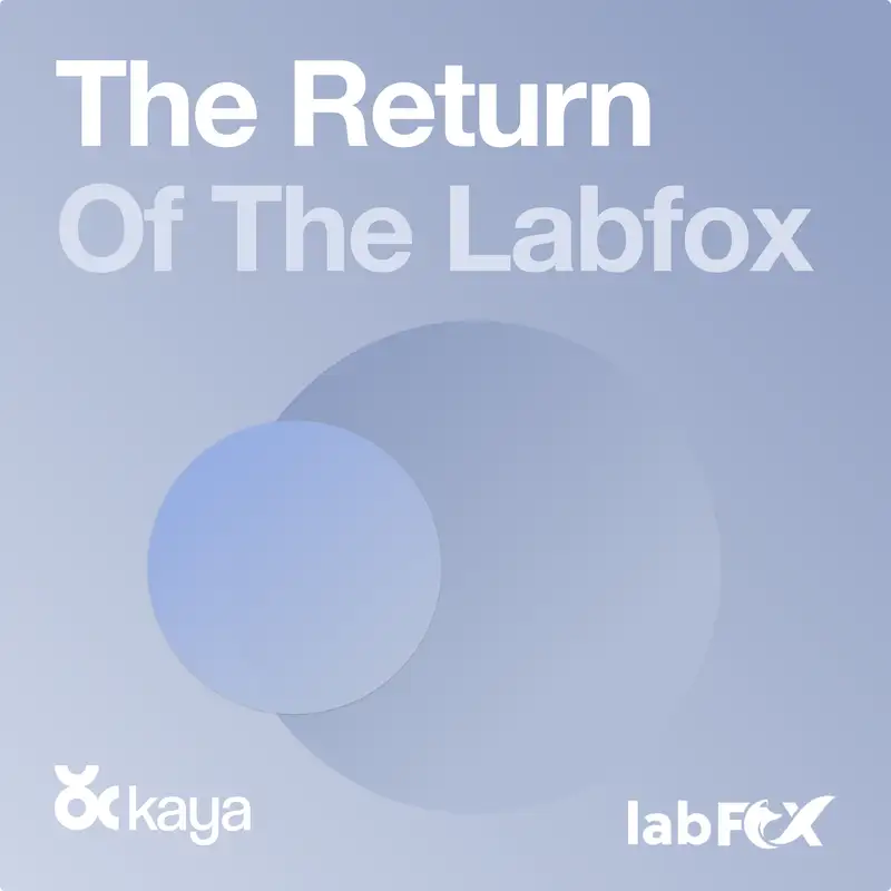 The Return Of The Labfox
