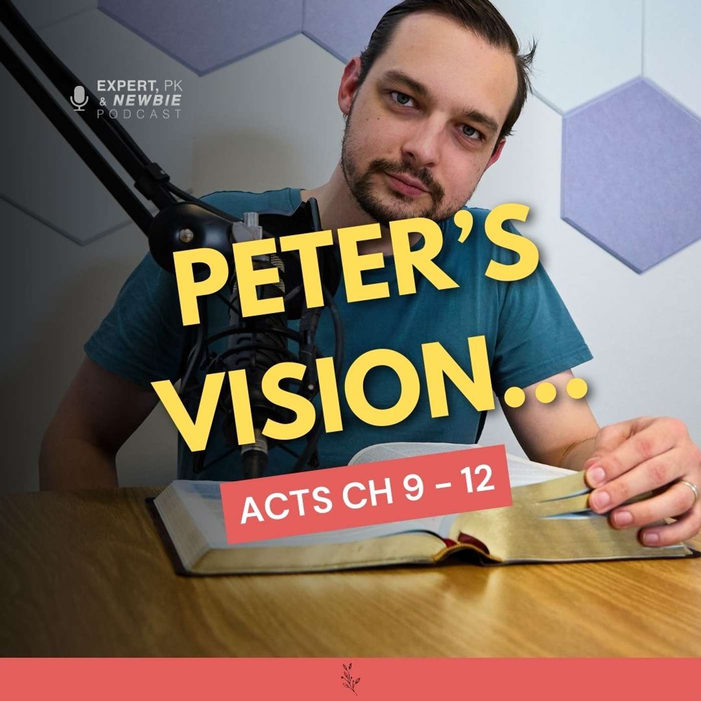 Expert, PK & Newbie Podcast
