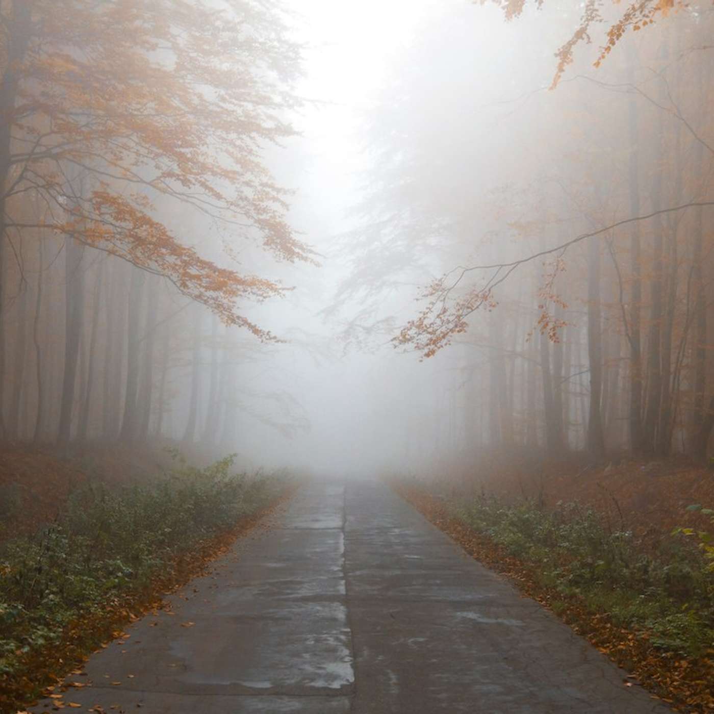 TFL BLOG | The Forgotten Discipline of Embracing Mystery episode artwork