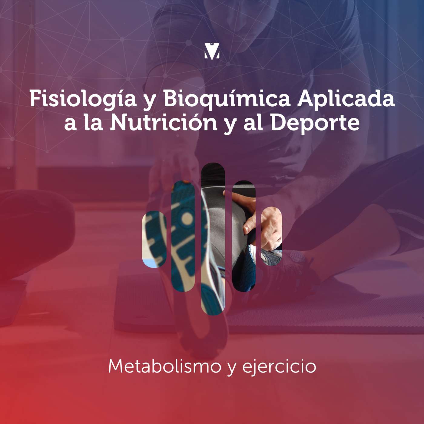 2 - FISIOLOGÍA Y BIOQUÍMICA APLICADA A LA NUTRICIÓN Y AL DEPORTE: Metabolismo y ejercicio episode artwork
