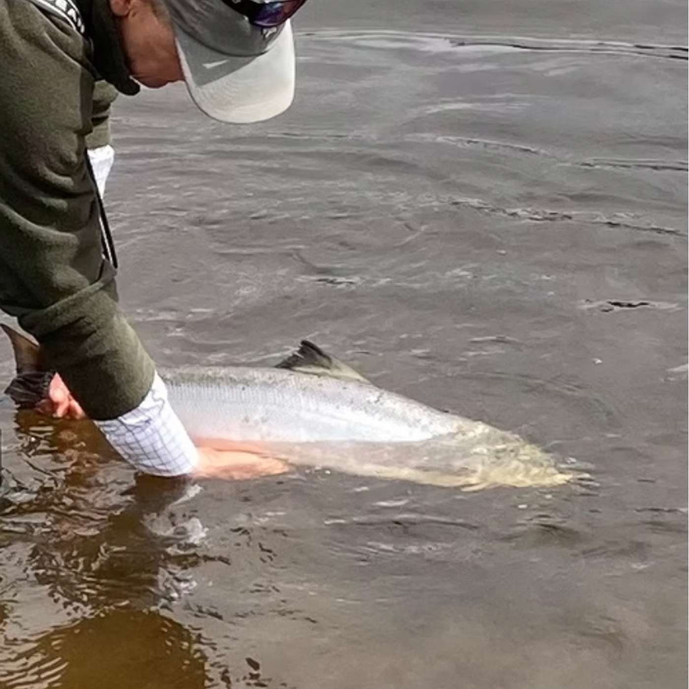 Ballisodare Salmon Fishery and why its future remains bright