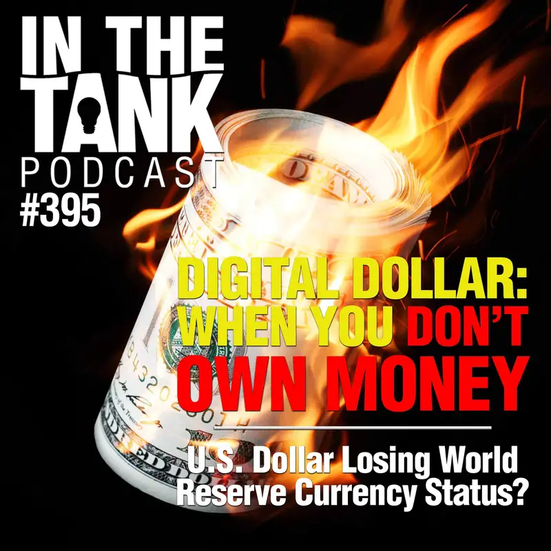 Digital Dollar: When You Don't Own Money - In The Tank #395