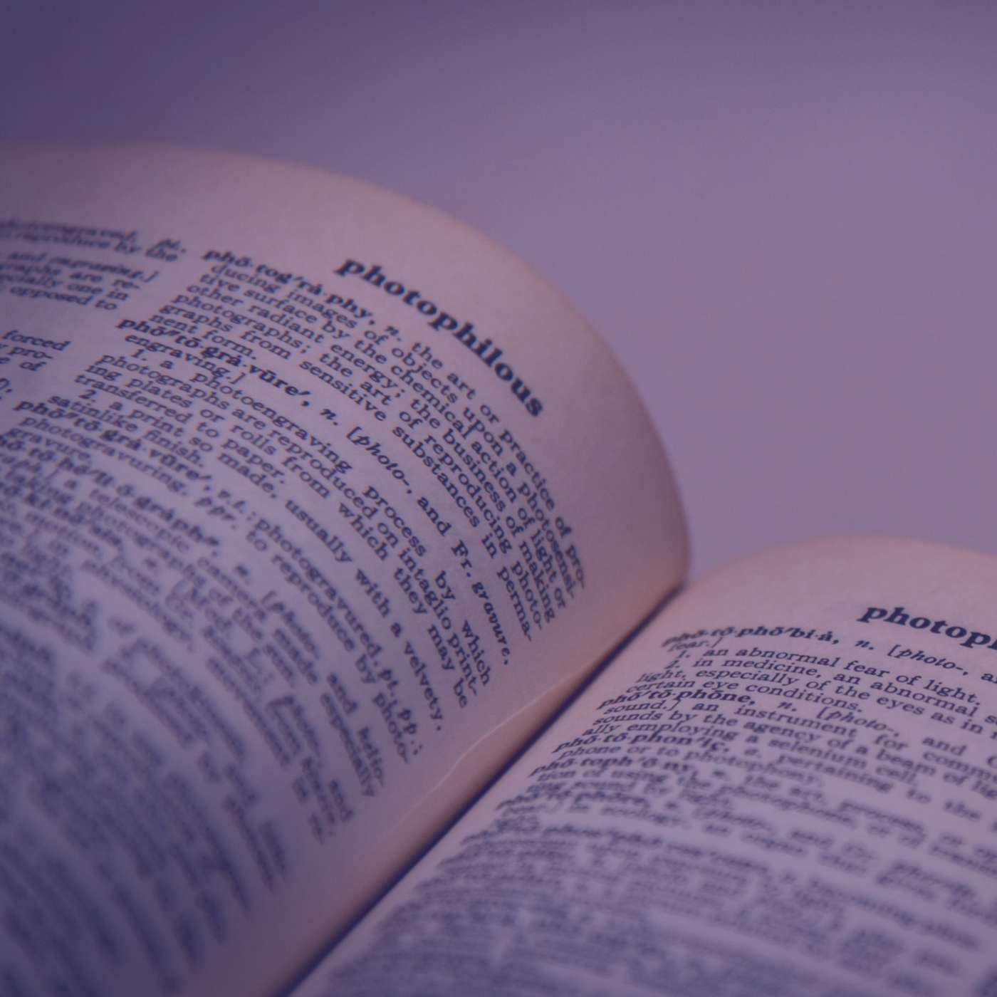 #39: The Story Of A Fantastic Dictionary