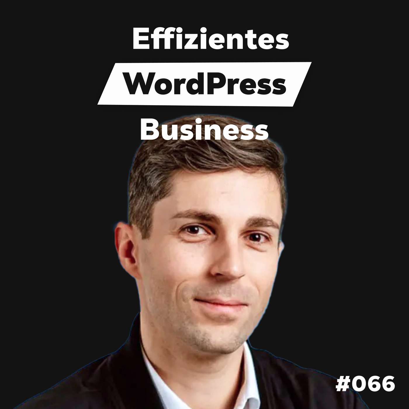Die Dominik Liss Show (WordPress & Business Talks)