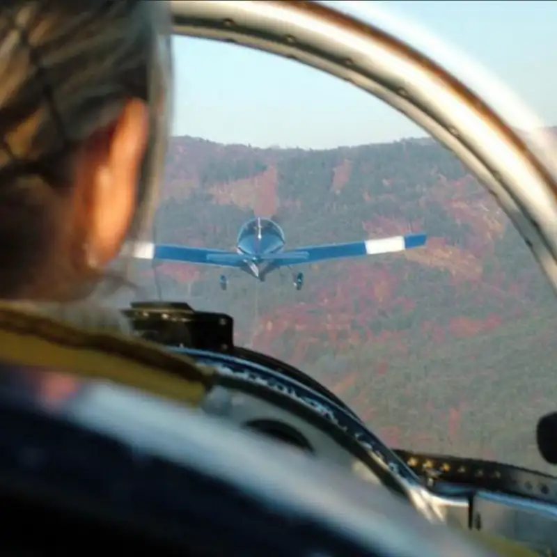 E49: Metaphors and the predictive brain