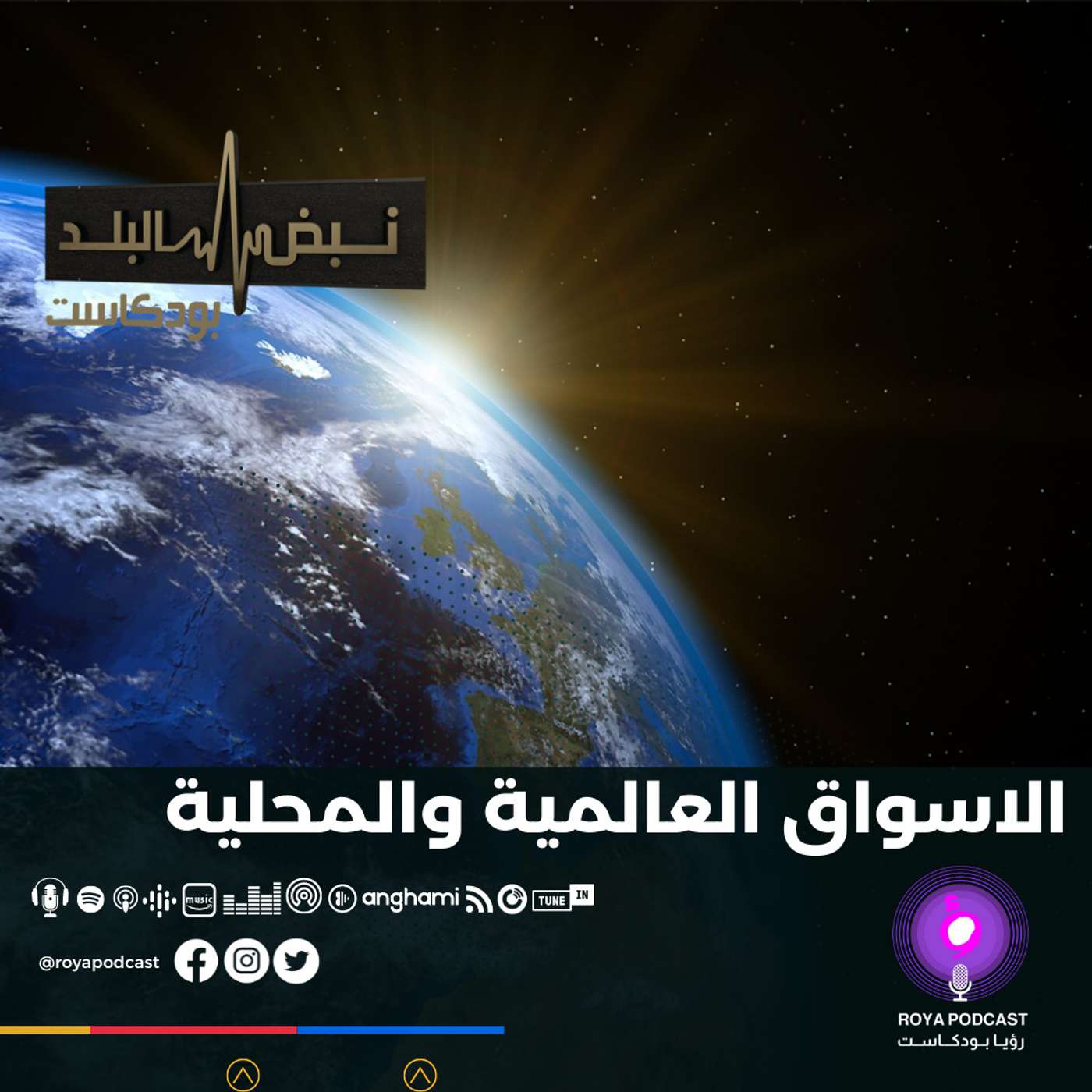 الاسواق العالمية والمحلية
