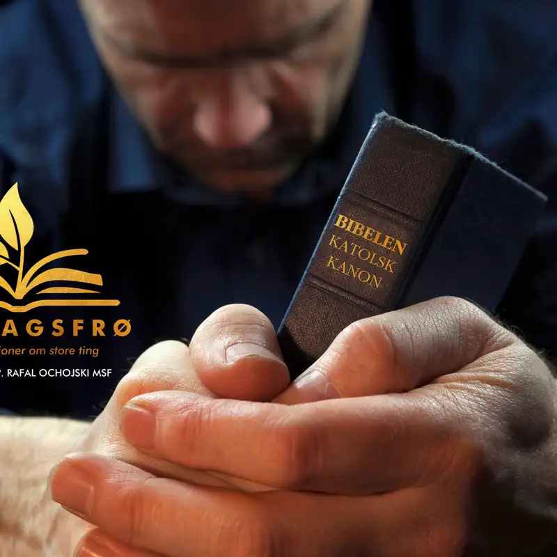 Søndagsfrø | Takknemlighet