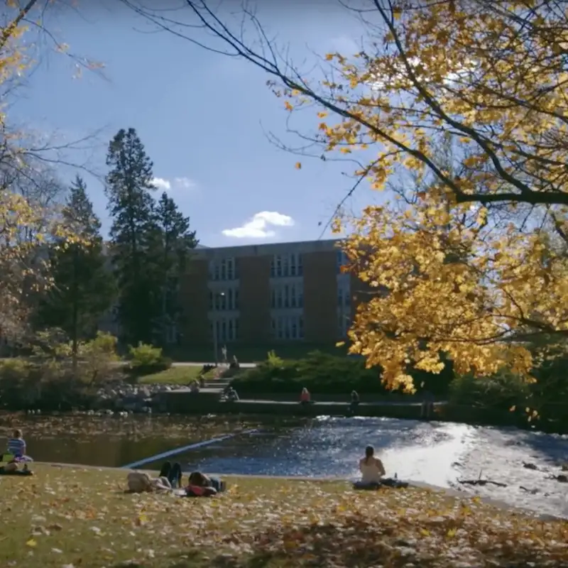 MSU releases diversity, equity, and inclusion framework to inform strategic planning efforts