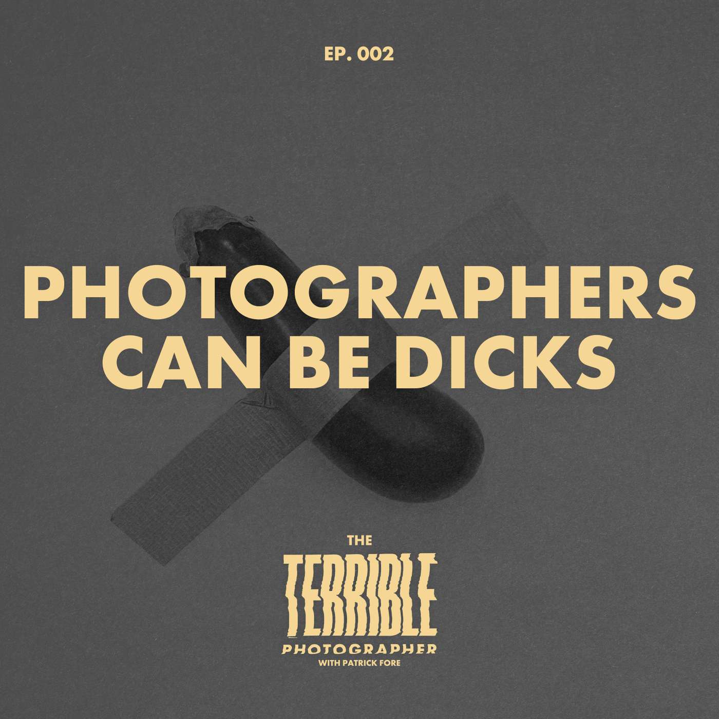 The Terrible Photographer