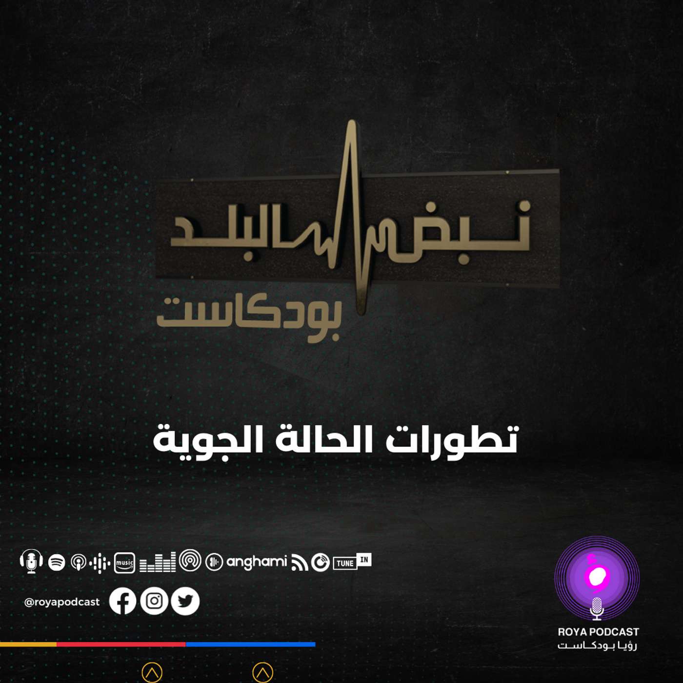 تطورات الحالة الجوية