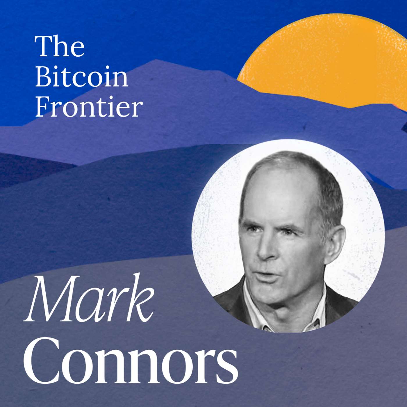 Bitcoin’s volatility is the signal in the noise with Mark Connors Bitcoin’s volatility is the signal in the noise with Mark Connors