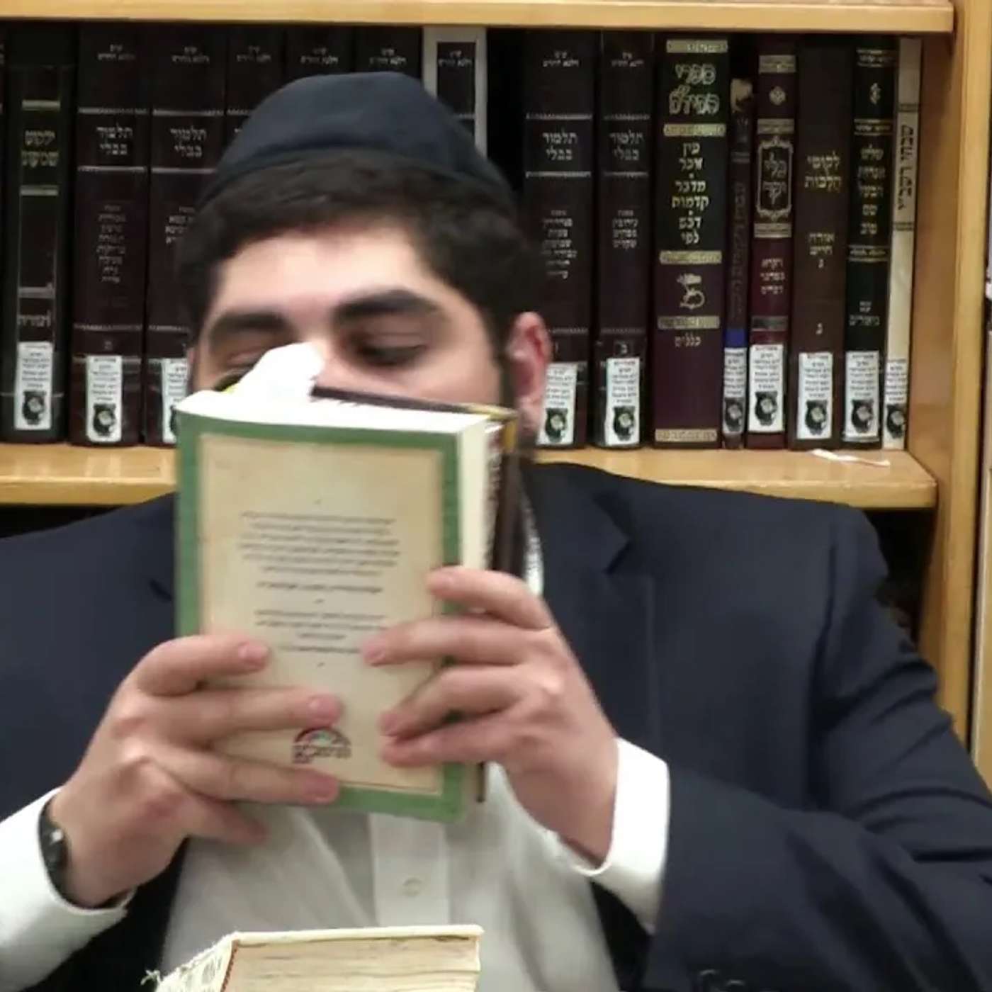 החיד"א-שיעור ערב בהלכה ובאגדה-אור לכ''ג תמוז תשפ''ו episode artwork