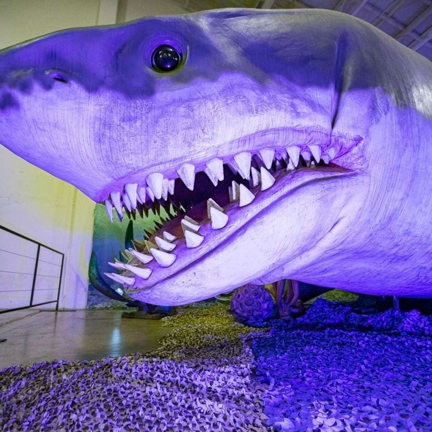 Cameroon Launches Historic Malaria Vaccine, Megalodons: Not Great Whites, Massive Ice Deposit Found on Mars, NASA Uncovers Ancient Asteroid Secrets, and more...