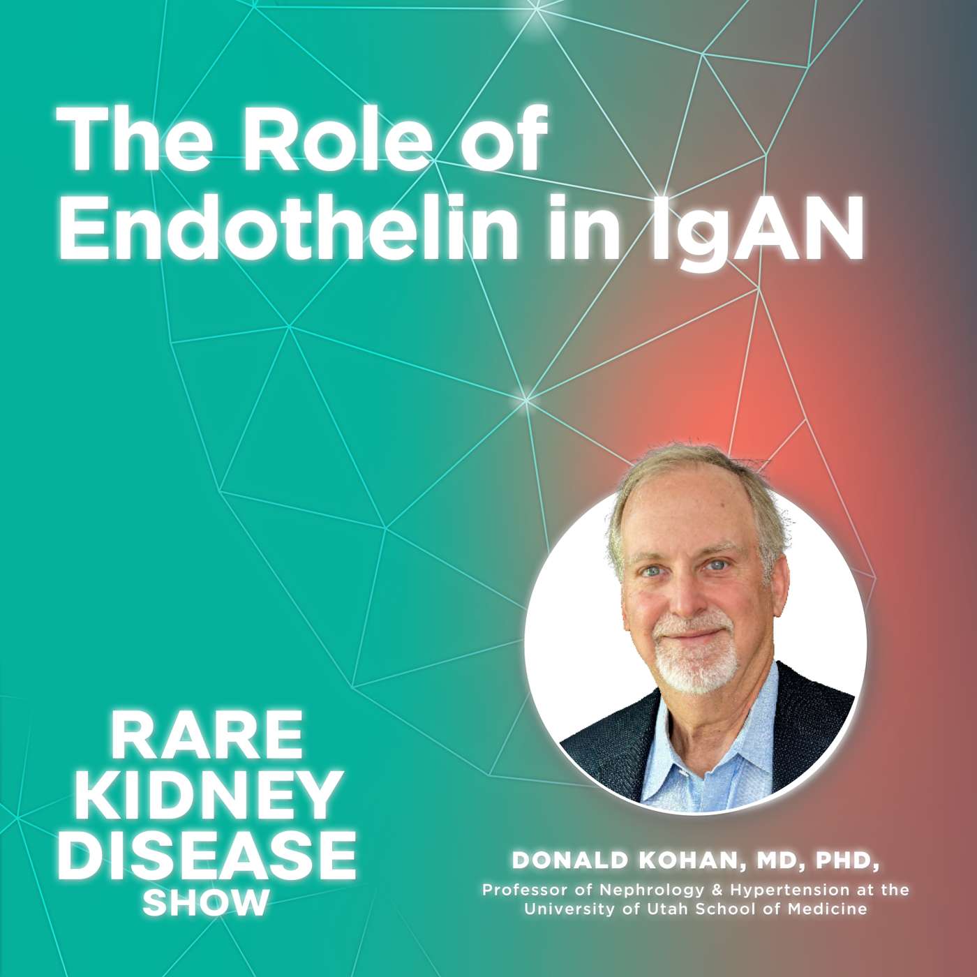 The Role of Endothelin in IgAN, ft. Dr. Donald Kohan : 3 episode artwork