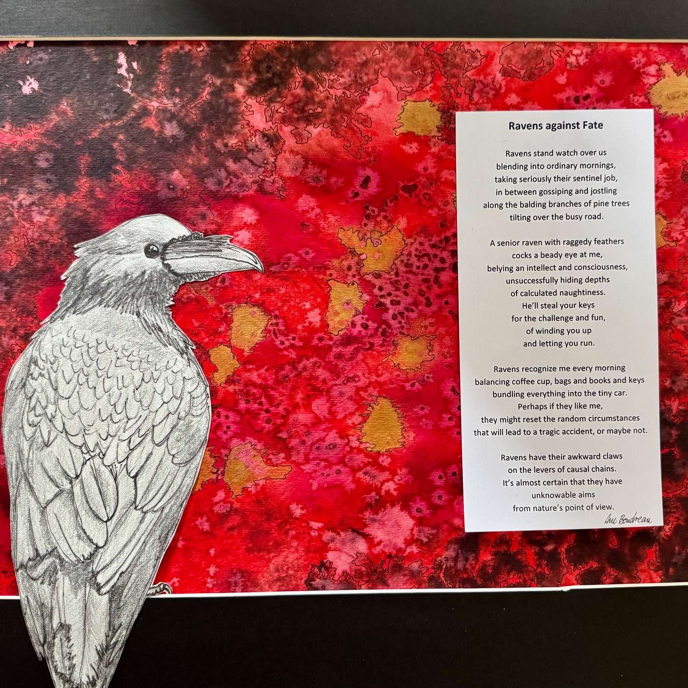 5b. Crow and Ravens