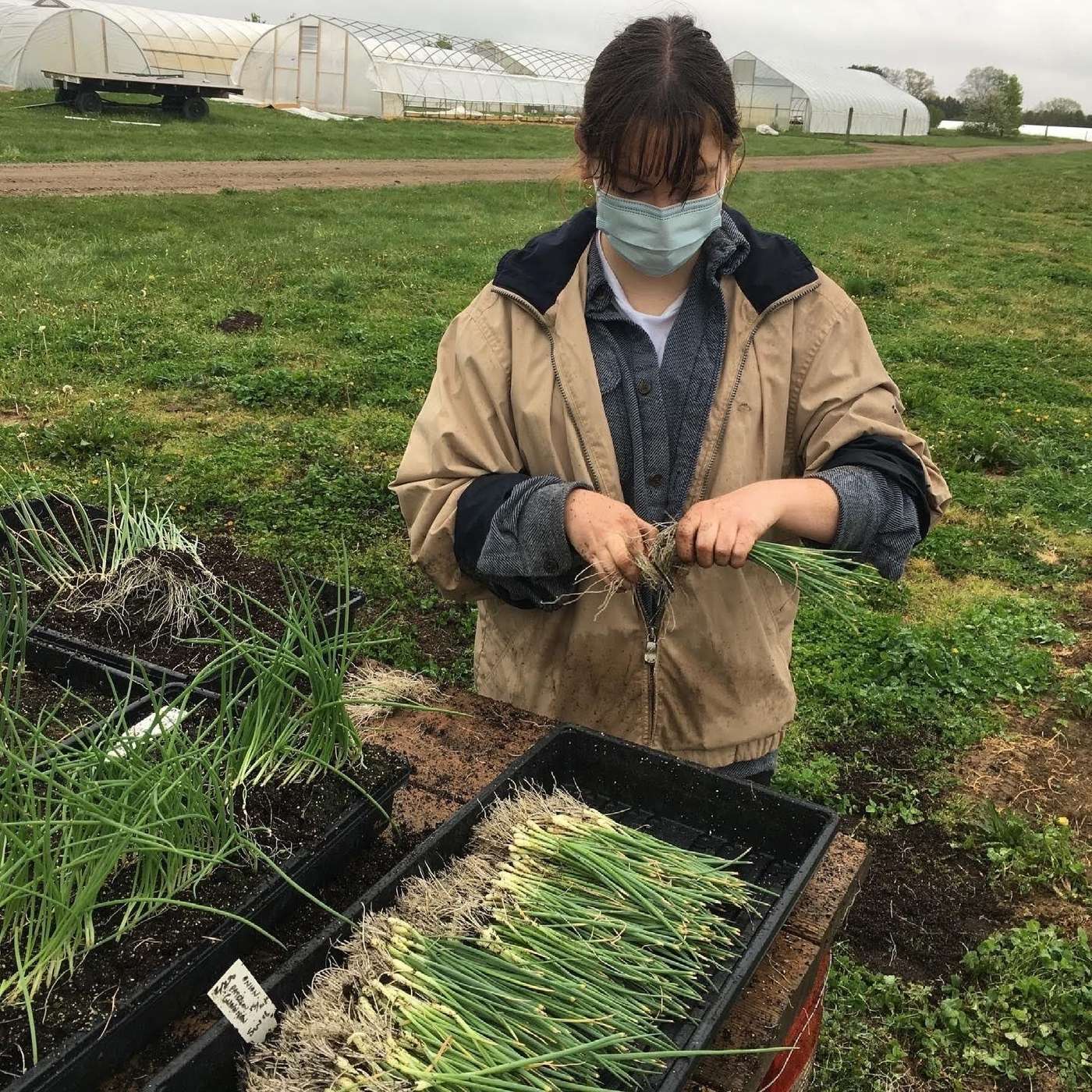 Student Organic Farm finds new home in Division of Student Life and Engagement episode artwork