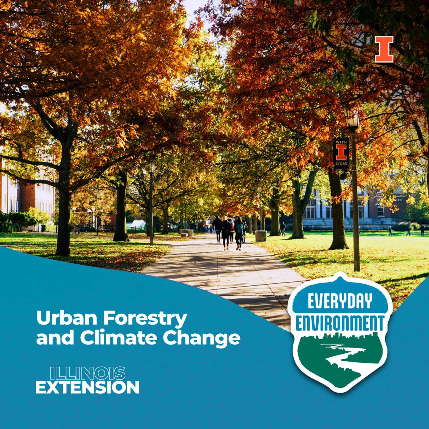708 million tons of carbon storage:  Urban Forests and climate change