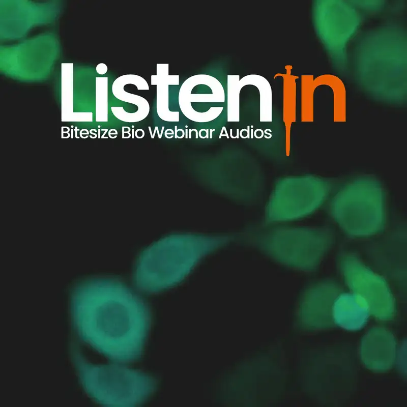 Precise and Fast Spectral FLIM at Video Rate in Confocal