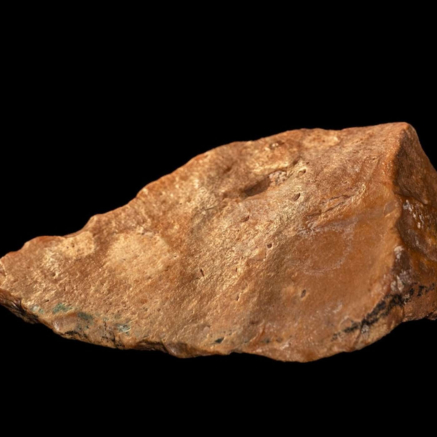 Stone Tools Reveal Early Migration, Study Reveals Lithium Reverses Alzheimer's, Study Uncovers Genetic Links to ME/CFS, French Fries Linked to Diabetes Risk, and more...
