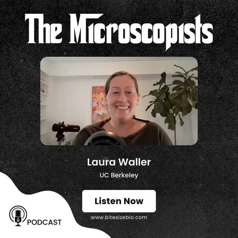 Laura Waller (UC Berkeley)