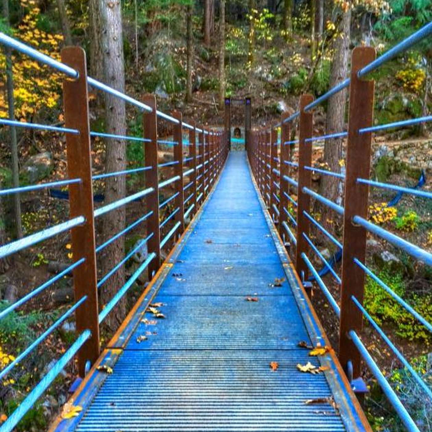 Peter Coates shares his music