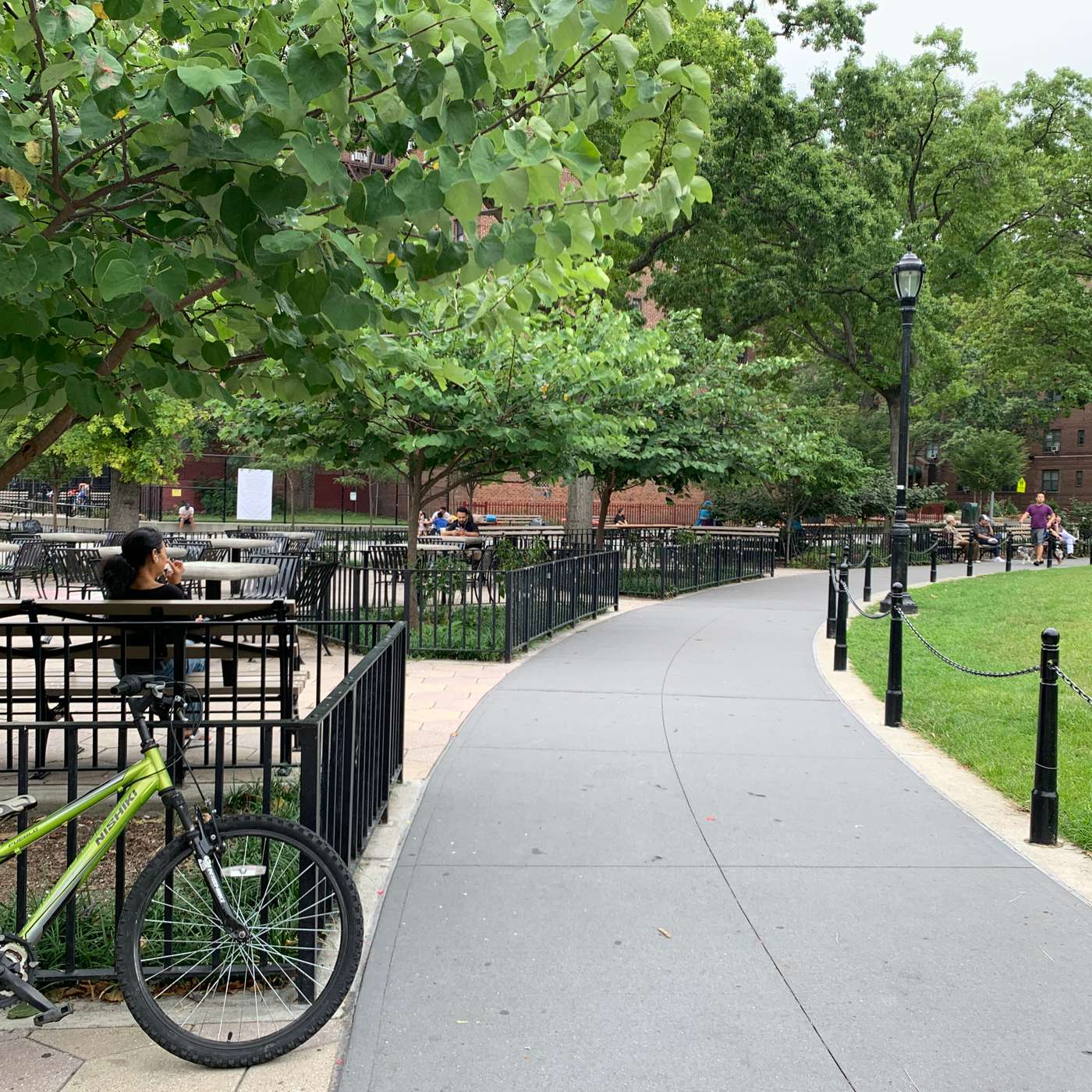 Work, Walks, and the Park with Mayara episode artwork