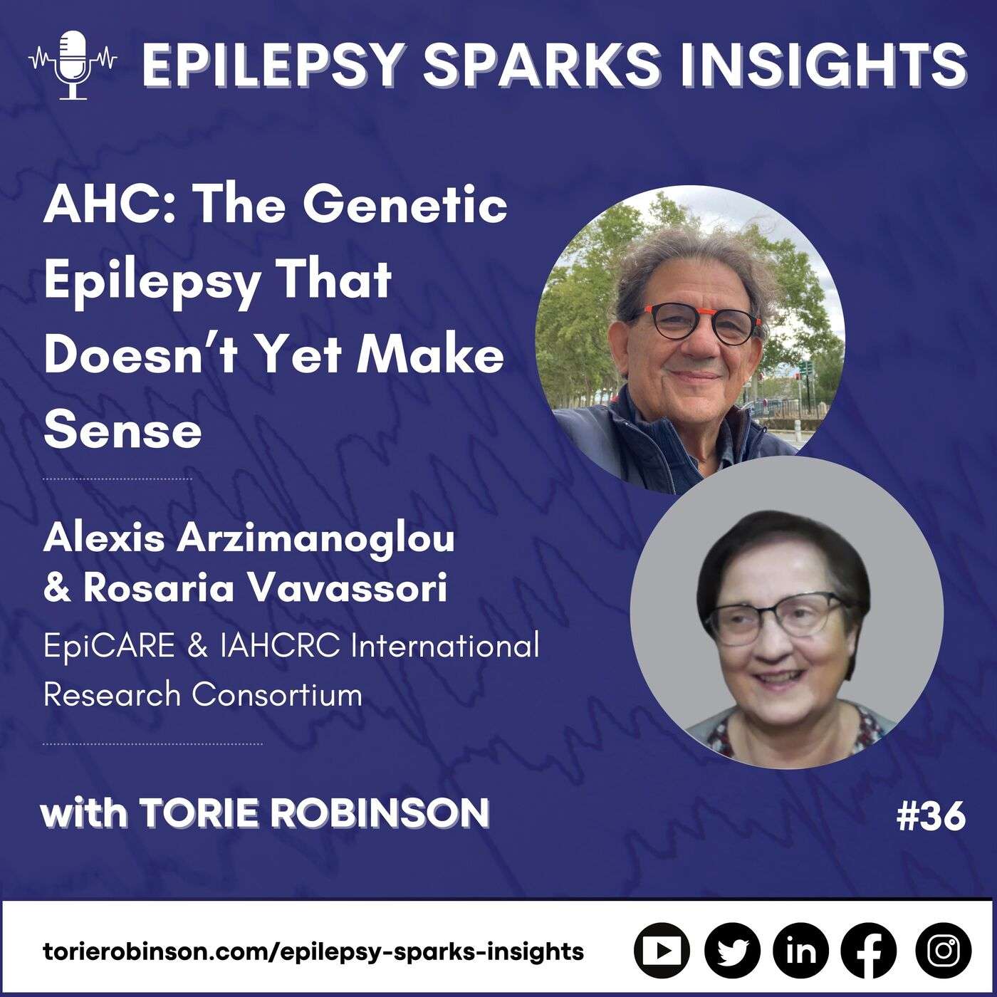 AHC: The Genetic Epilepsy That Doesn’t Yet Make Sense - Alexis Arzimanoglou & Rosaria Vavassori episode artwork