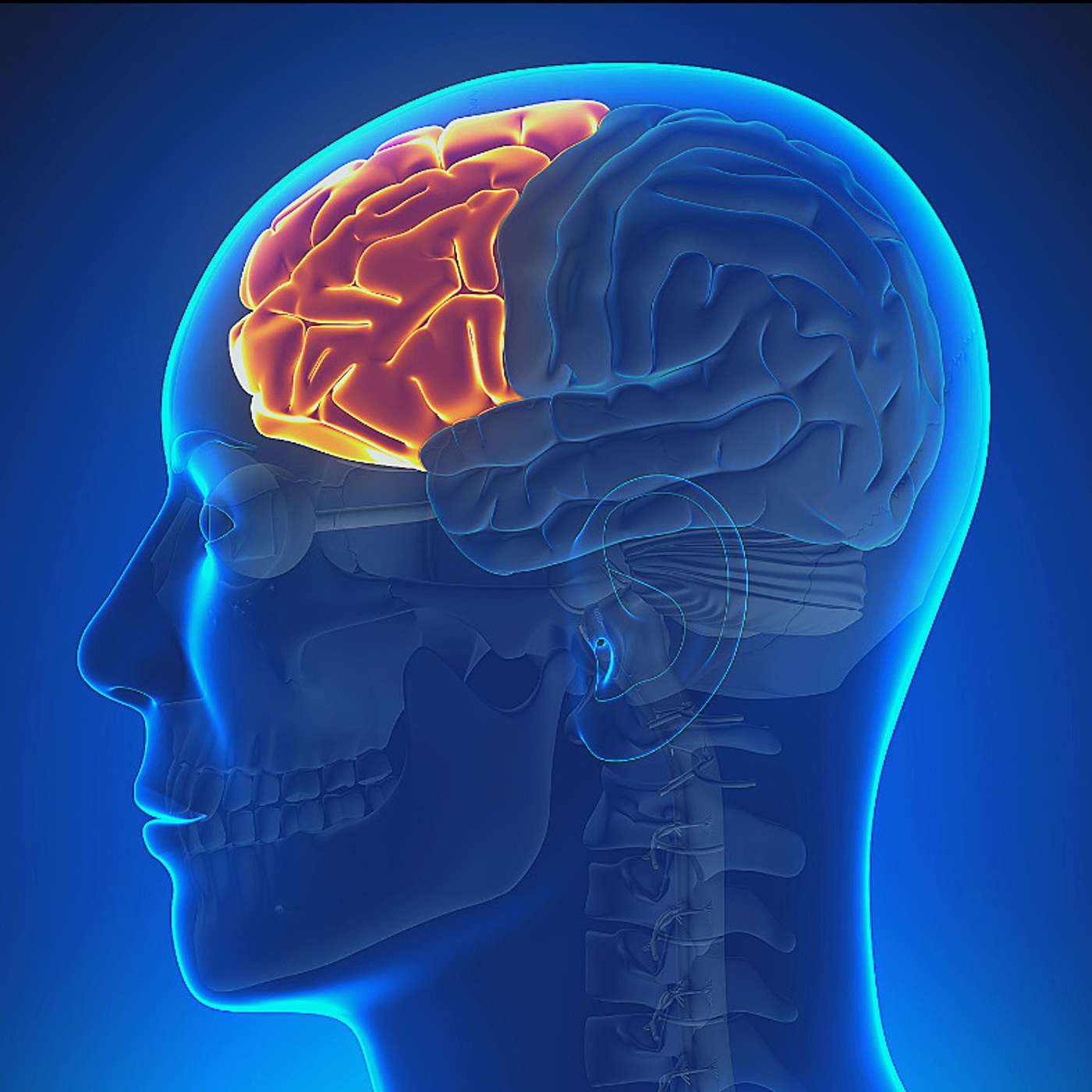 Prefrontal Cortex episode artwork