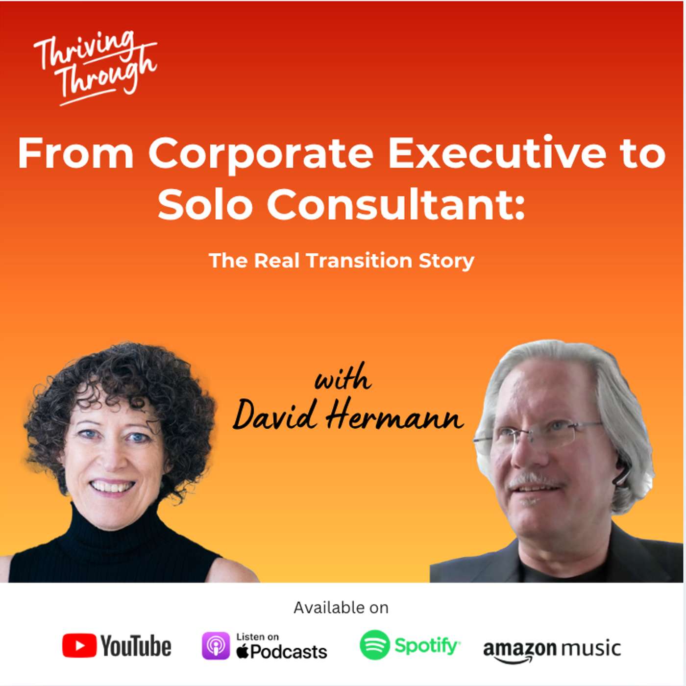 E085 From Corporate Executive to Solo Consultant: The Real Transition Story with David Hermann