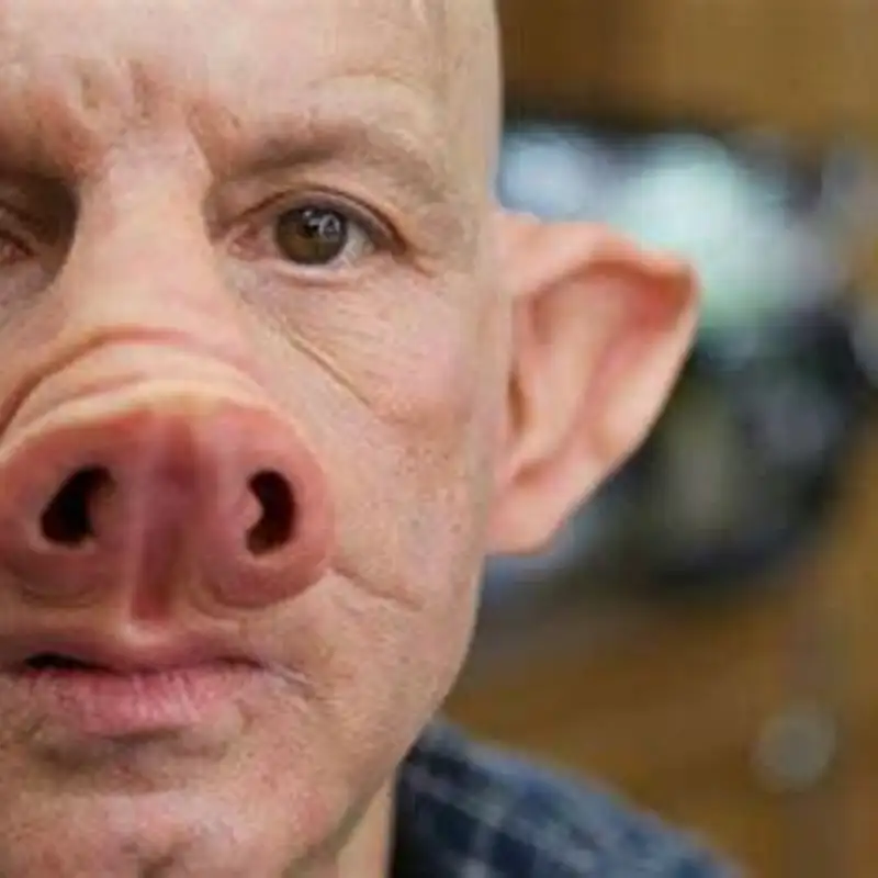 Life against Eternity 