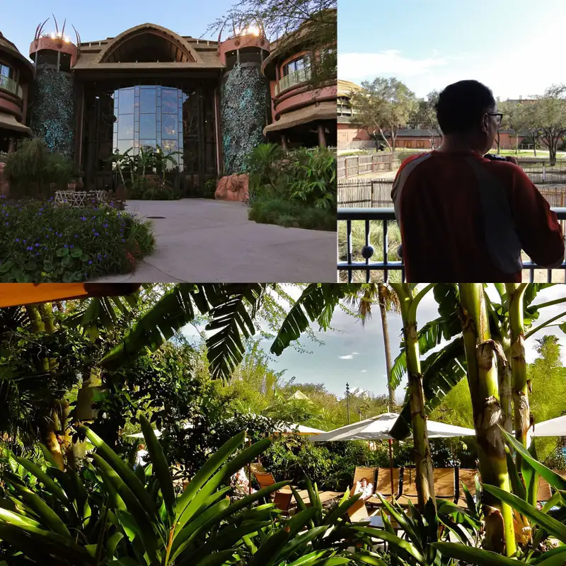 Episode 148: What is the "Disney Bubble"?