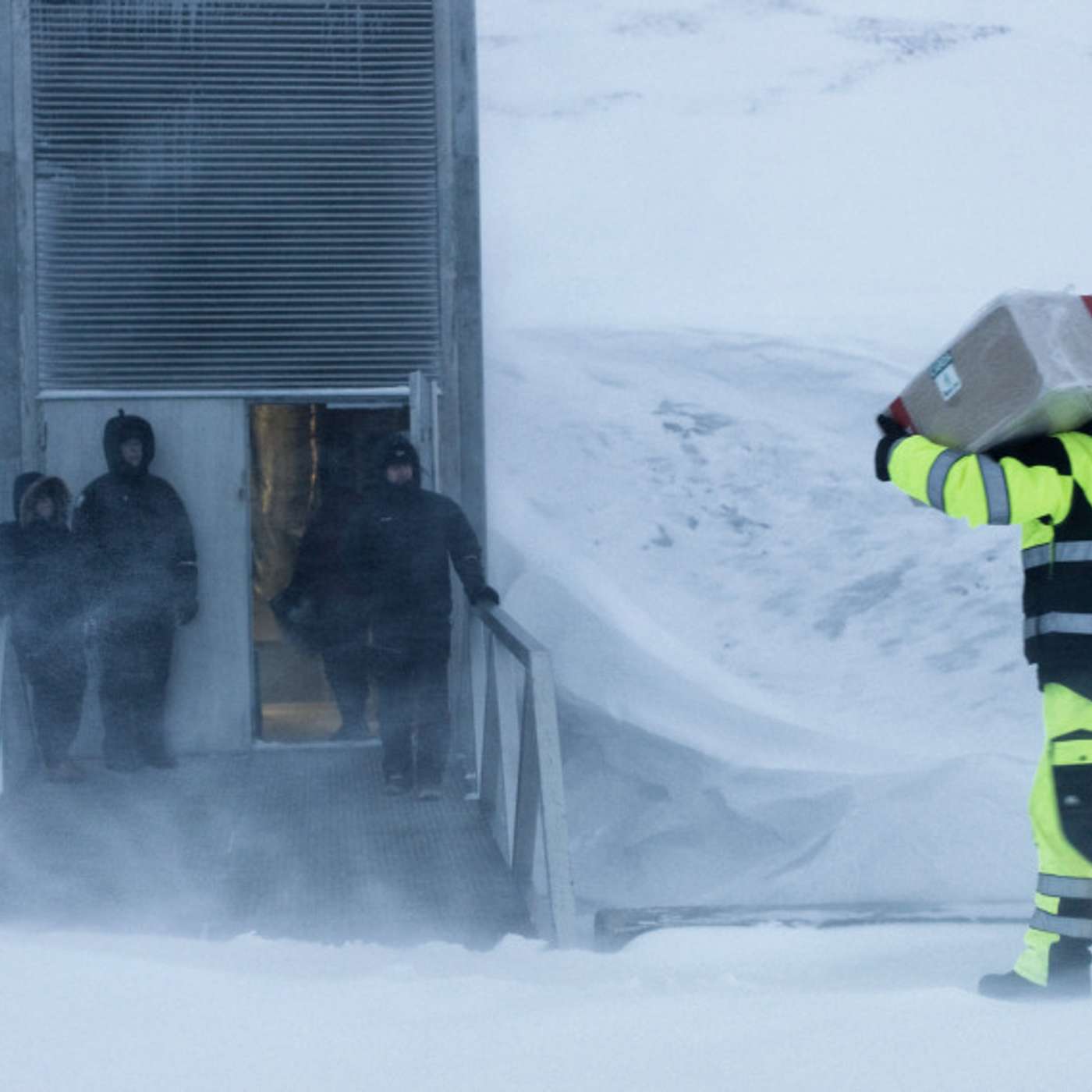 Во Всемирном семенохранилище на Шпицбергене появились новые редкие сорта