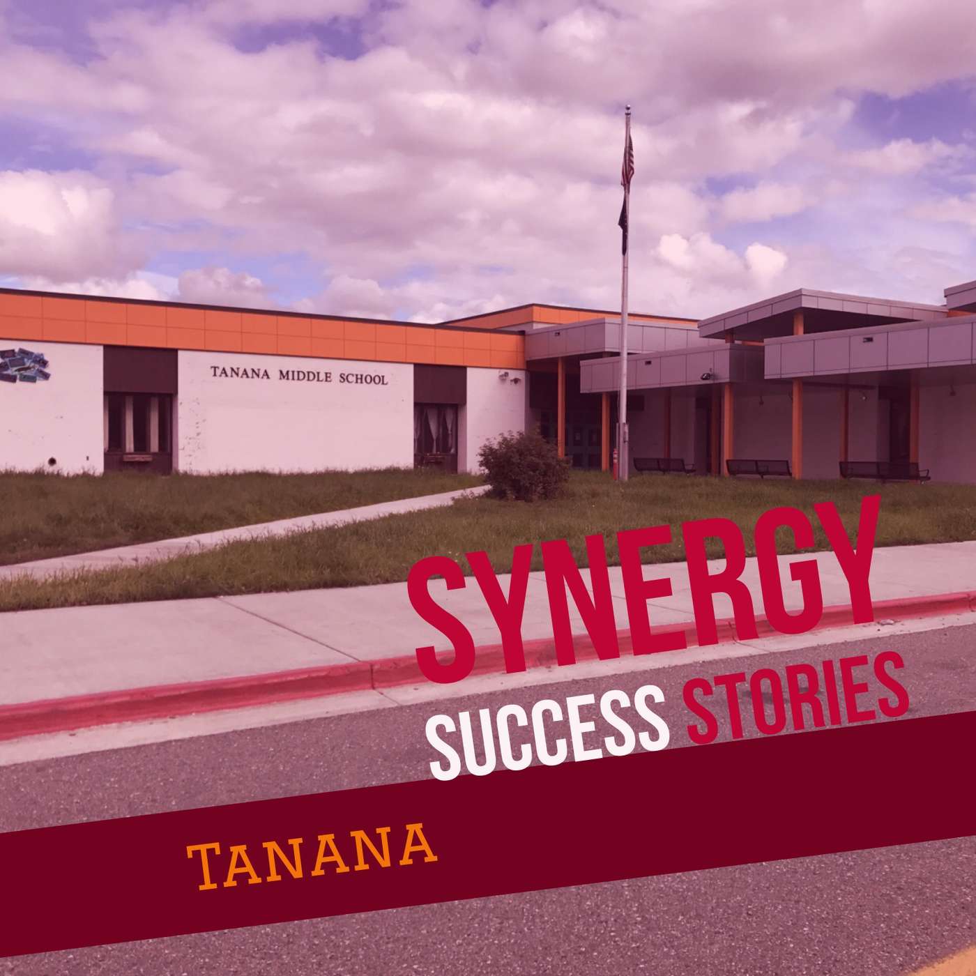 synergy minty business